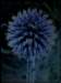 untitled13_small.jpg